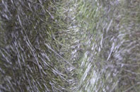 Middle Woodford fibreglass roof work